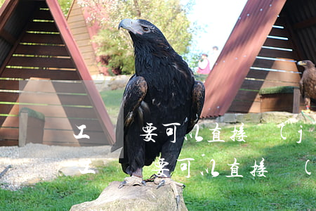 工資討要可以直接經(jīng)過法院嗎(工資討要可以直接經(jīng)過法院嗎)