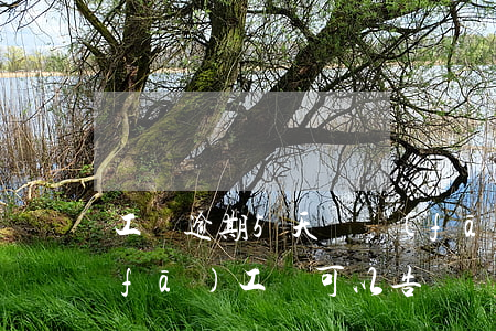 工資逾期5天沒發(fā)(逾期多久不發(fā)工資可以告)