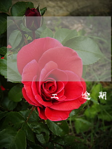工資逾期幾天沒事-工資逾期幾天可以補償