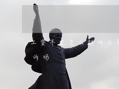 工资不发怎么起诉公司(公司不发工资可以起诉吗)