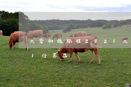 工资扣税标准2021(工资扣税标准2021计算器)