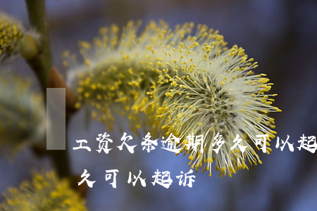 工资欠条逾期多久可以起诉(工资欠条逾期多久可以起诉)