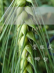 工资组成部分有哪些(事业单位工资组成部分有哪些)