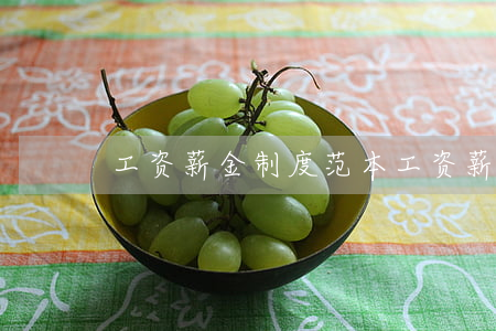 工资薪金制度范本(工资薪酬制度制定标准)