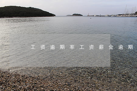 工资逾期率(工资薪金逾期)