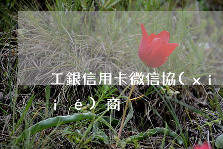 工銀信用卡微信協(xié)商 工行協(xié)商