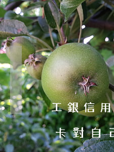 工銀信用卡逾期后果-工行逾期一天的信用卡對自己有什么影響