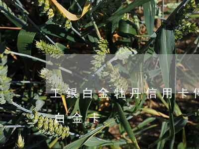 工銀白金牡丹信用卡停更3天了-工商牡丹白金卡