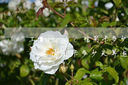 工銀行etc信用卡多少天算逾期（工銀行etc信用卡多少天算逾期）