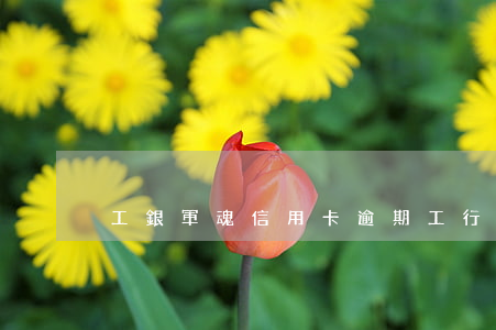 工銀軍魂信用卡逾期(工行軍魂卡下架了嗎)