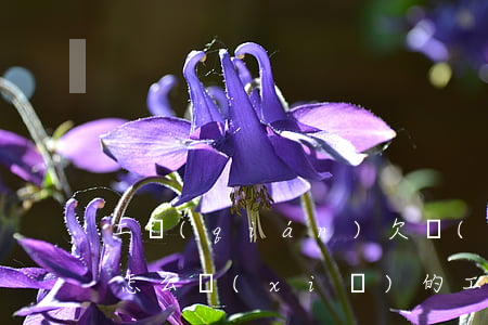 工錢(qián)欠錢(qián)起訴狀怎么寫(xiě)的（工錢(qián)欠錢(qián)起訴狀怎么寫(xiě)）