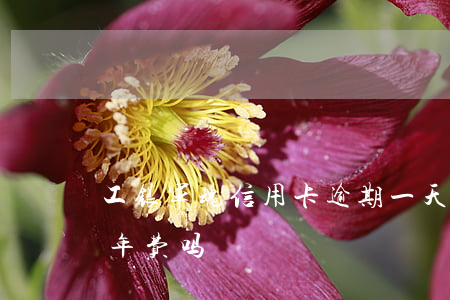 工银军魂信用卡逾期一天(工行军魂信用卡有年费吗)