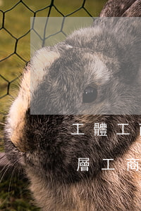 工體工商戶適用的法律法規(guī)(基層工商所常用的法律法規(guī)有哪些)