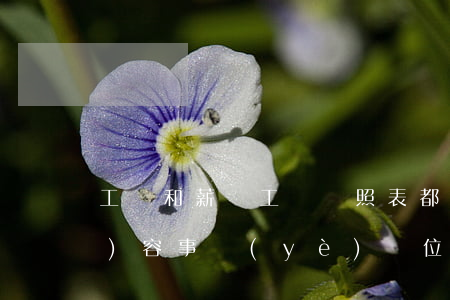 工齡和薪級工資對照表都有哪些內(nèi)容（事業(yè)單位工資套改表計算方法）