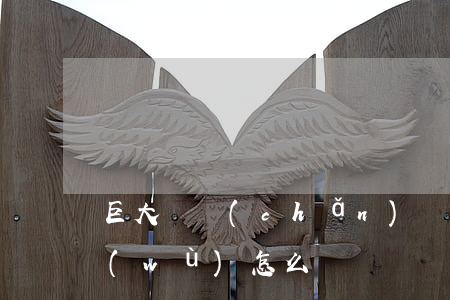 巨大財產(chǎn)還不起貸款(巨大債務(wù)怎么辦)