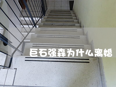 巨石强森为什么离婚