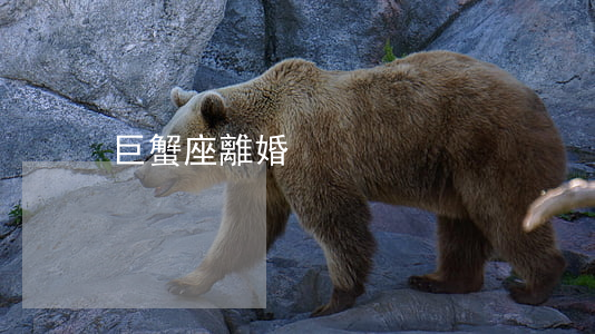 巨蟹座離婚