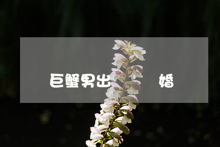 巨蟹男出軌會離婚嗎