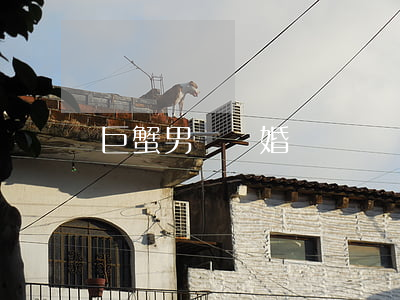 巨蟹男會離婚嗎