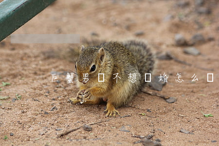 巨蟹男說不想離婚怎么辦