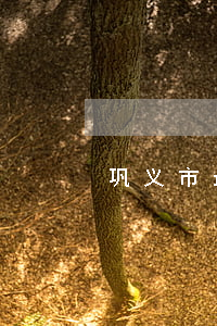 巩义市最知名律师事务所