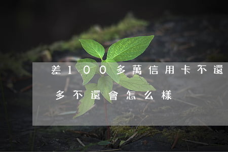 差100多萬信用卡不還(欠信用卡1000多不還會怎么樣)