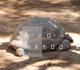 差10萬(wàn)信用卡沒(méi)逾期有影響嗎-差10萬(wàn)信用卡沒(méi)逾期有影響嗎知乎