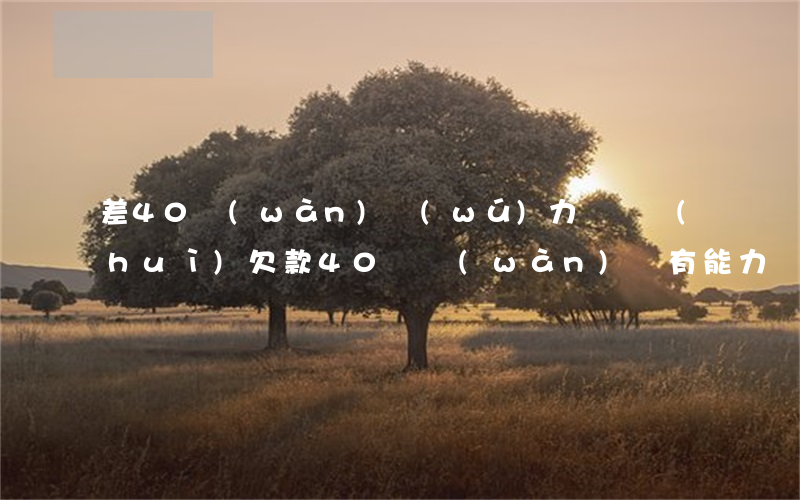差40萬(wàn)無(wú)力償還會(huì) 欠款40幾萬(wàn)沒有能力還了怎么辦