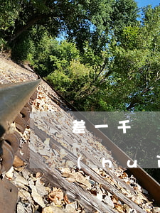 差一千網(wǎng)貸會(huì)不會(huì)起訴(差一千網(wǎng)貸會(huì)不會(huì)起訴)