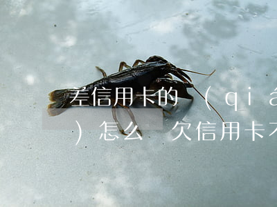 差信用卡的錢(qián)不還會(huì)怎么樣(欠信用卡不還有什么后果)