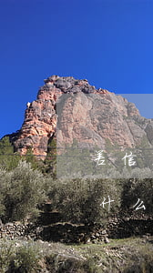 差信用卡的錢不還會怎樣(信用卡的錢不還有什么后果)