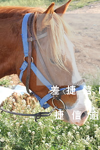 差捷信的錢逾期會(huì)被提起訴訟嗎(捷信逾期多久會(huì)被起訴會(huì)有什么后果)