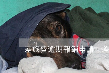 差旅費逾期報銷申請-差旅費報銷常見問題