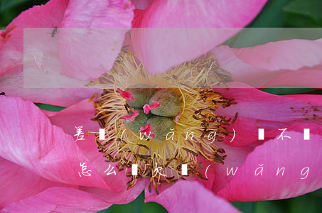 差網(wǎng)貸不還跑路會(huì)怎么樣(欠網(wǎng)上貸款不還會(huì)怎樣)