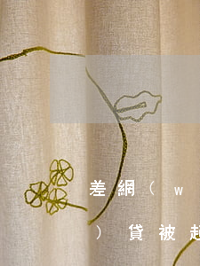 差網(wǎng)貸被起訴了(網(wǎng)貸被起訴了會(huì)怎么樣)