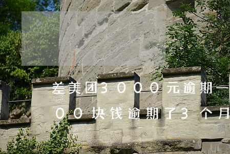 差美团3000元逾期一年多了(美团欠2000块钱逾期了3个月会怎么样)