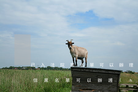 已入法院黑名單可以辦理護(hù)照嗎(失信黑名單可以辦護(hù)照嗎)