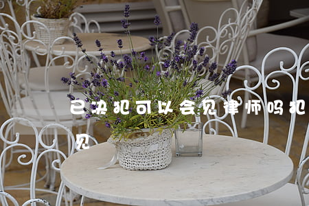 已决犯可以会见律师吗(犯什么罪律师不能会见)