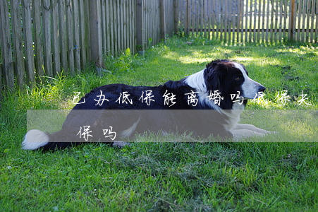 已办低保能离婚吗(低保夫妻离婚还能享受低保吗)