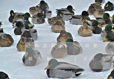 已向法院起訴可以拒絕調(diào)解嗎(被告拒絕調(diào)解)