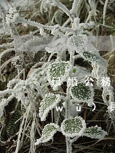 已婚公務(wù)員政審老婆家人嗎?(公務(wù)員政審老婆家庭情況嗎)
