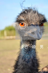 已婚男為了我要離婚怎么辦