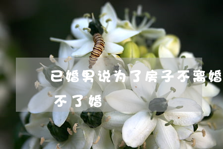 已婚男说为了房子不离婚(已婚男说爱你但离不了婚)