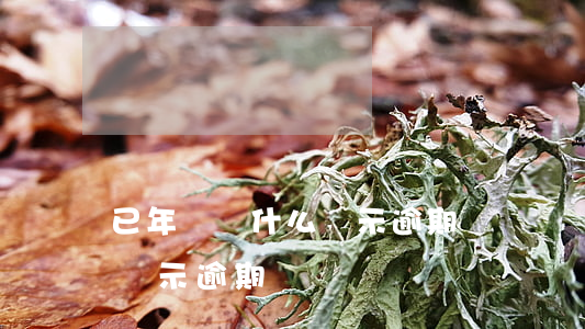 已年檢為什么顯示逾期 機動車檢驗了為什么顯示逾期
