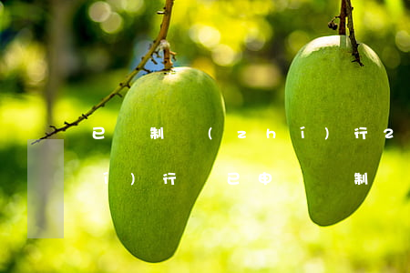 已強制執(zhí)行2年后還會執(zhí)行嗎(已申請強制執(zhí)行2年后還會執(zhí)行嗎)