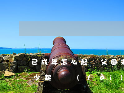 已成年怎么起訴父母(未成年起訴父母需要多少起訴費(fèi)用)