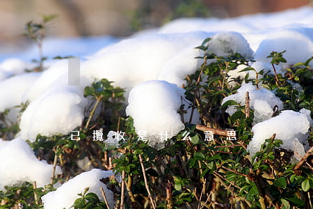 已攬收是什么意思