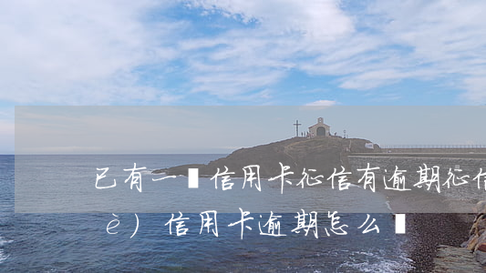 已有一張信用卡征信有逾期 征信有一個(gè)信用卡逾期怎么辦