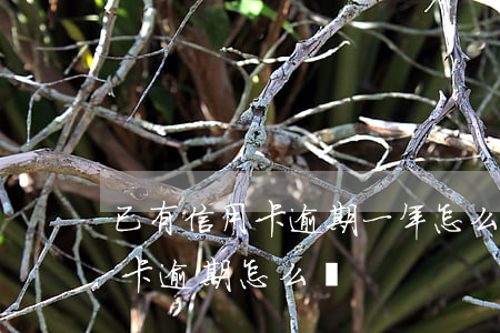 已有信用卡逾期一年怎么辦(2017年信用卡逾期怎么辦)