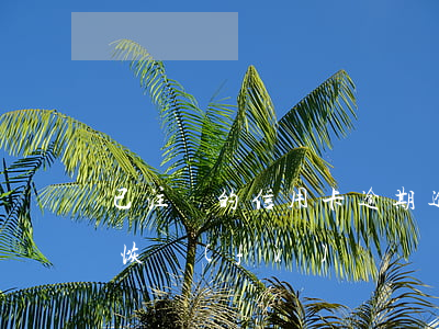 已注銷的信用卡逾期(逾期注銷的信用卡還能恢復(fù)嗎)